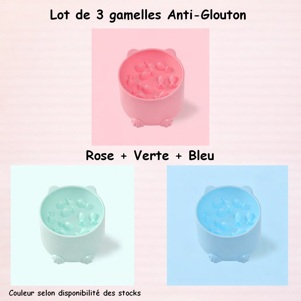 Gamelle anti-glouton pour chat et chien – Slow food