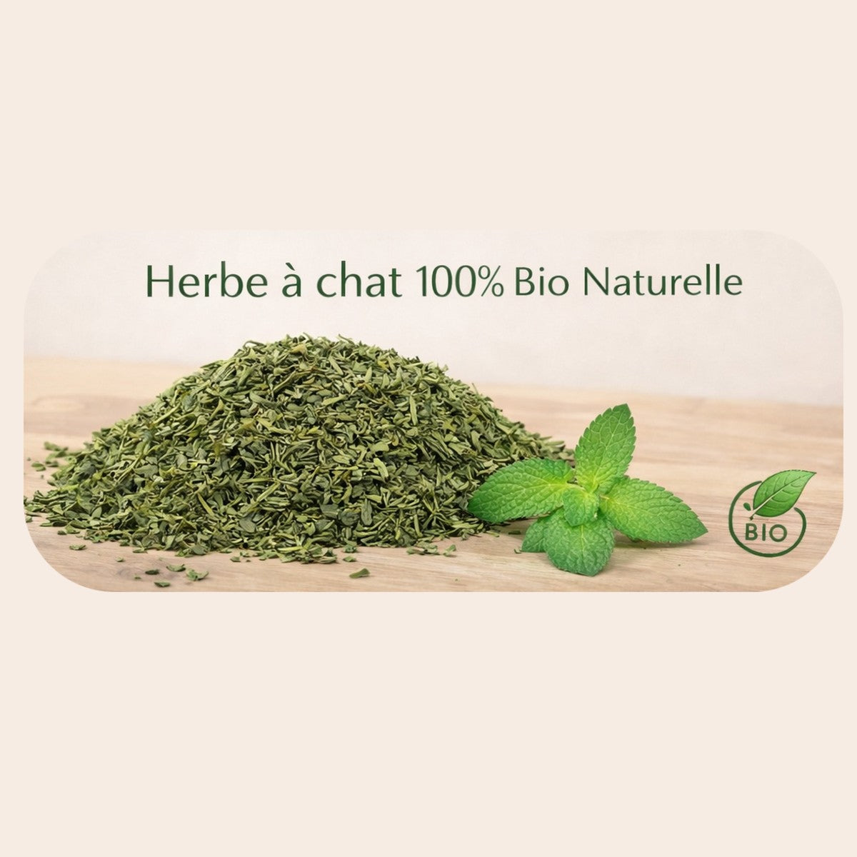 Herbe à chat bio 100 % naturelle – Catnip premium pour le bien-être