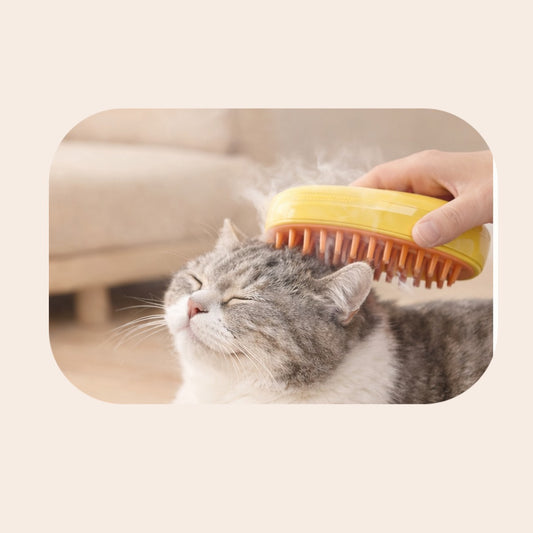 Brosse Vapeur 3-en-1 Chat & Chien : Anti-Poils et Massage