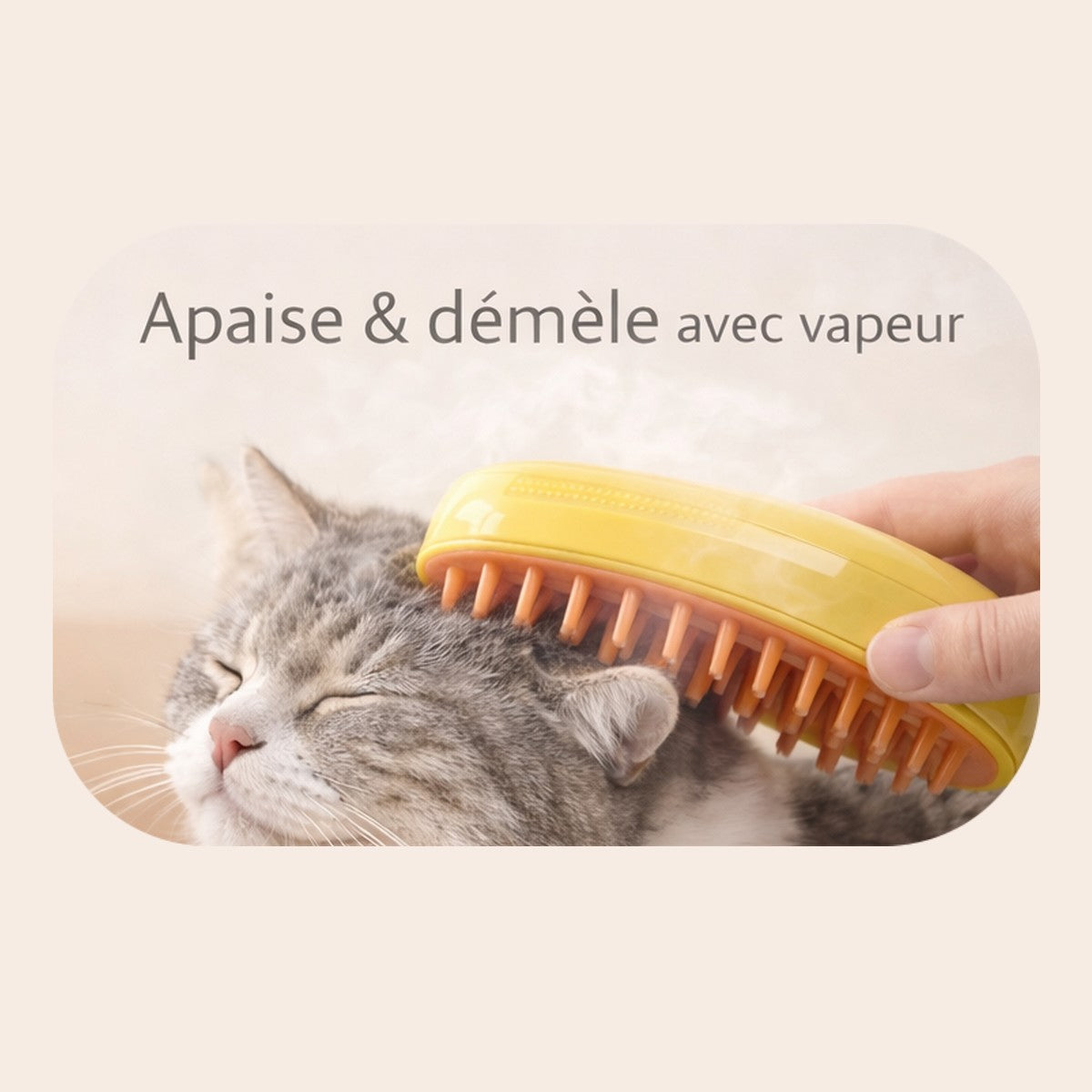 Brosse Vapeur 3-en-1 Chat & Chien : Anti-Poils et Massage