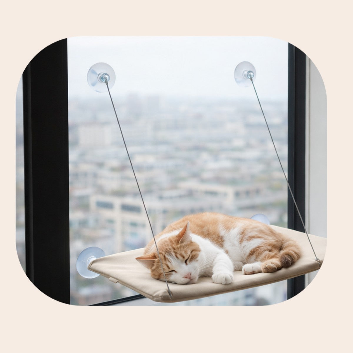 Hamac de fenêtre suspendu pour chat 🐾