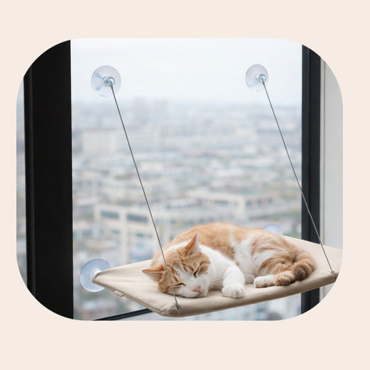 Hamac de fenêtre suspendu pour chat 🐾