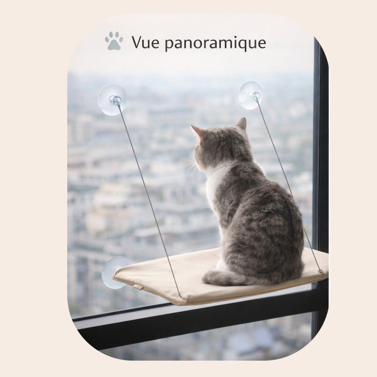 Hamac de fenêtre suspendu pour chat 🐾