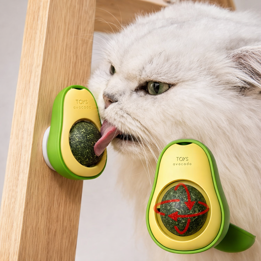 Jouet interactif à l’herbe à chat 🐾