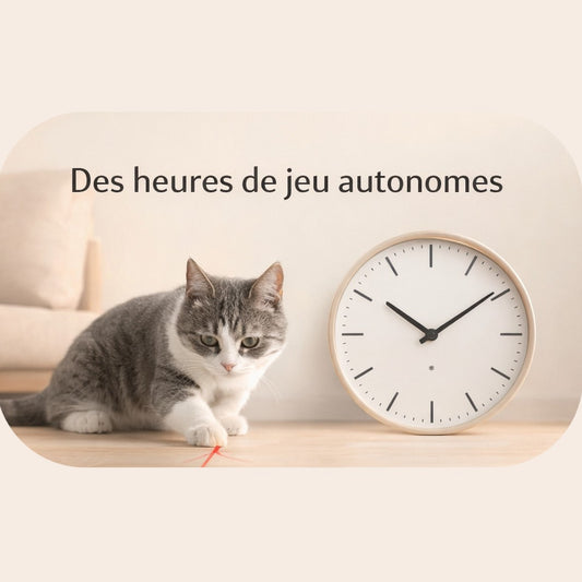 Le Laser Interactif Intelligent🐾