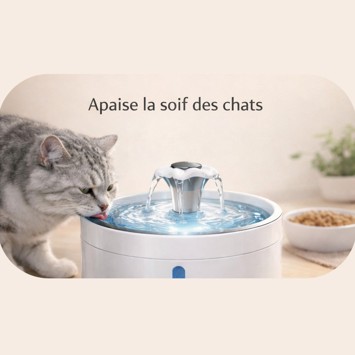 Fontaine à Eau pour chat 💧